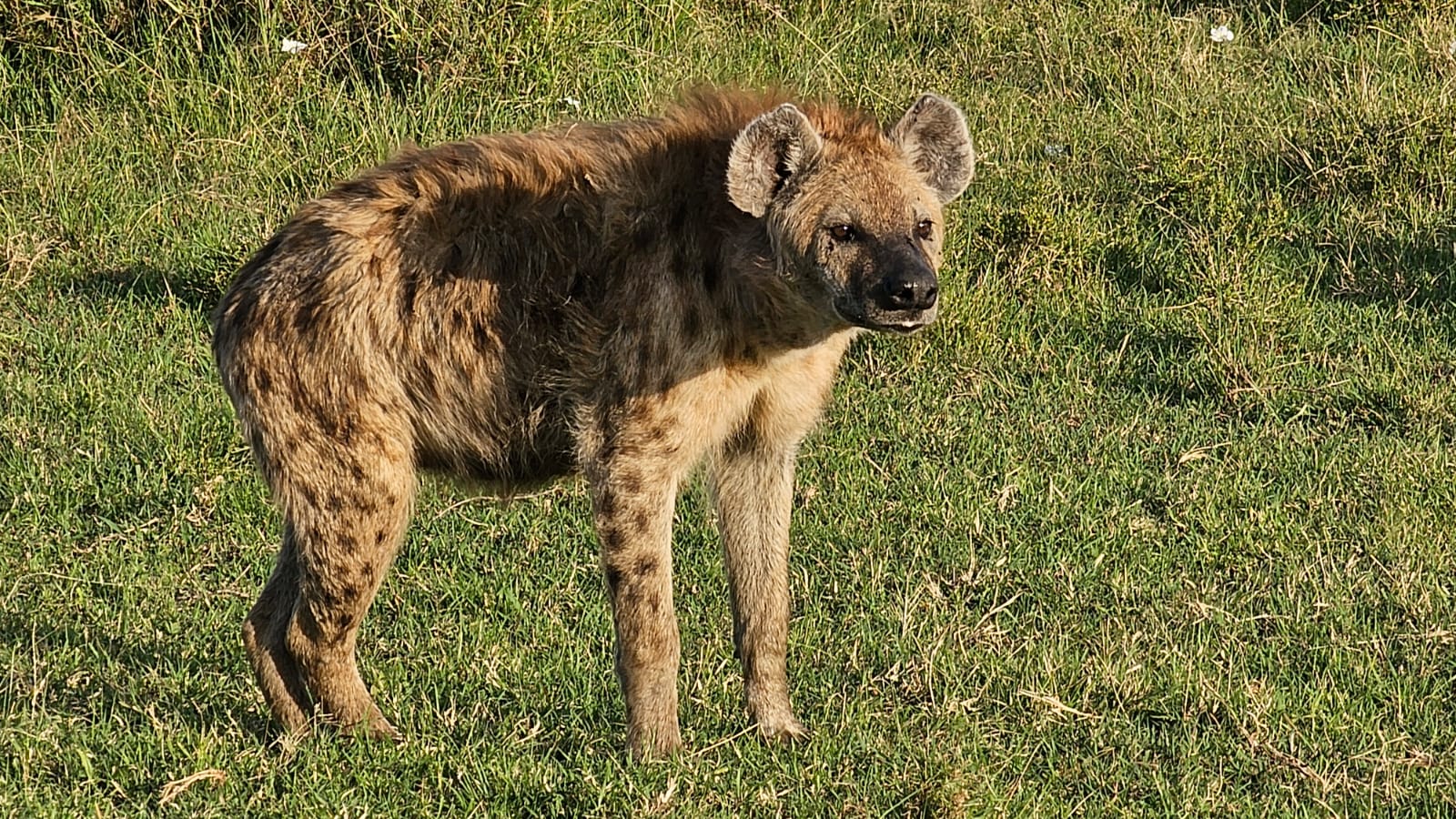 Zanzibar & Tanzania Safari Tour Package | 12 Nights Luxury Beach & Wildlife